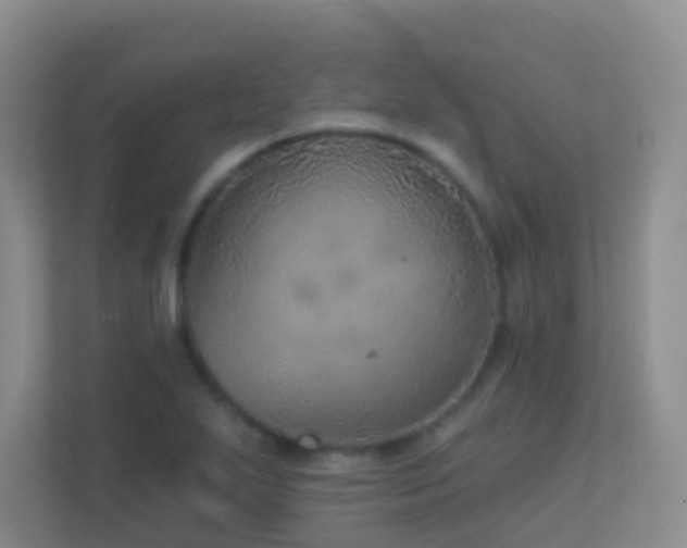X0000113881271200909241345