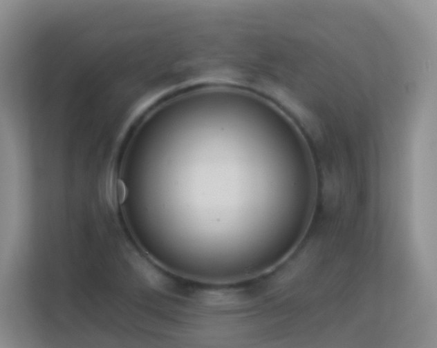 X0000113881272200909241345