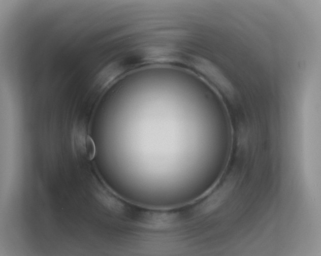 X0000113881273200909241345