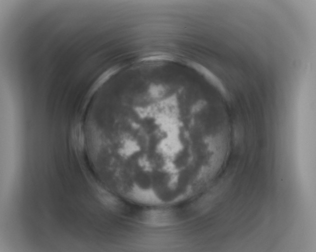 X0000113881274200909241345