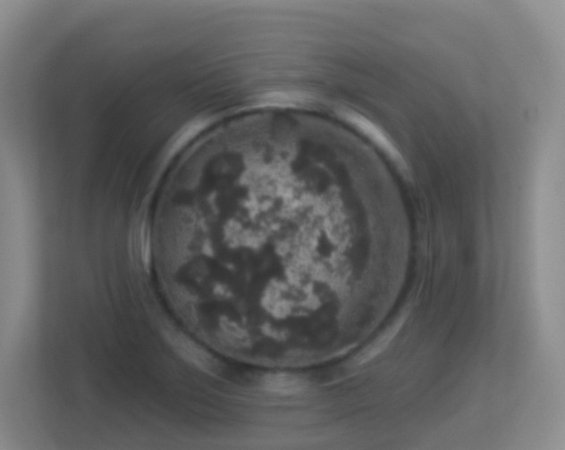 X0000113881275200909241345