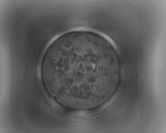 X0000113881279200909241345