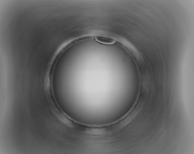 X0000113881280200909241345