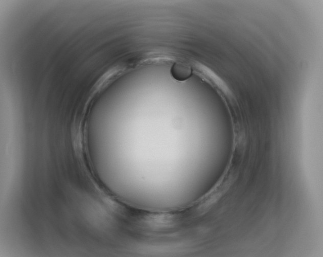 X0000113881282200909241345