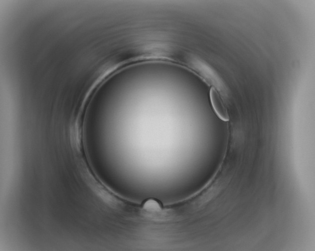 X0000113881284200909241345
