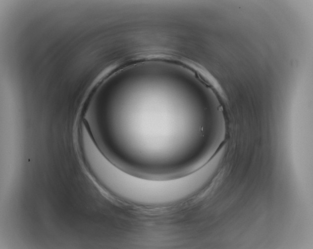 X0000113881285200909241345
