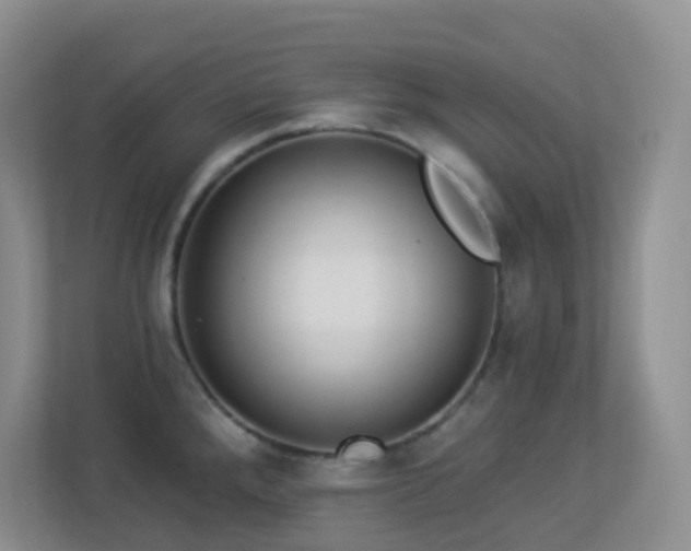 X0000113881288200909241345