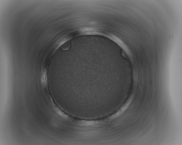 X0000113881289200909241345