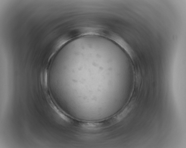X0000113881290200909241345