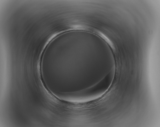 X0000113881291200909241345