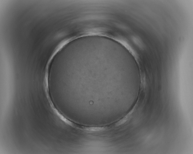 X0000113881294200909241344