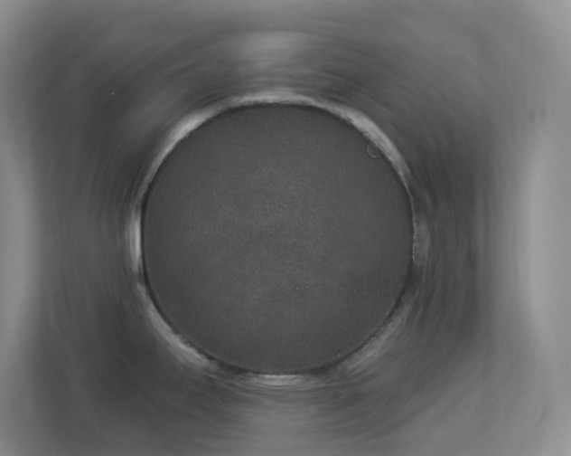 X0000113881295200909241344