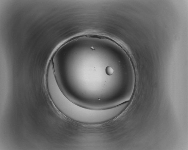 X0000113881296200909241344