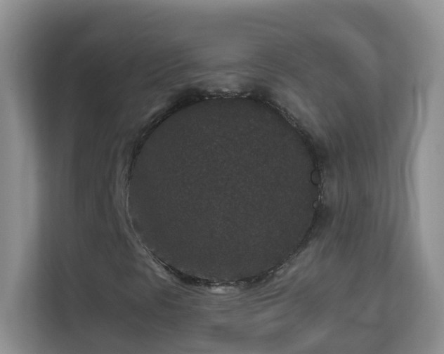 X0000113881297200909241344