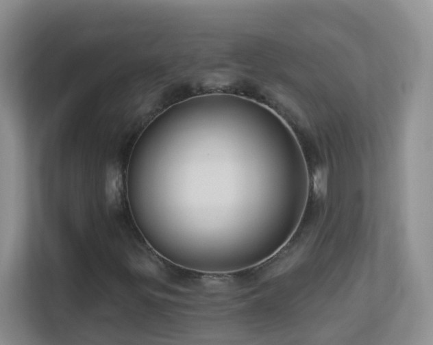 X0000113881299200909241344