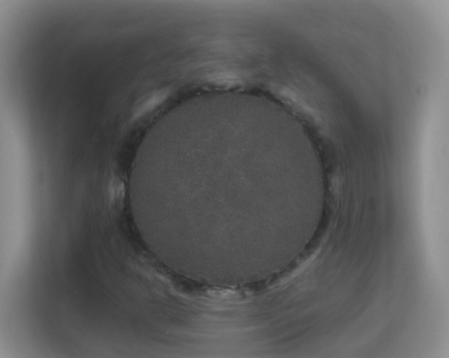 X0000113881302200909241344