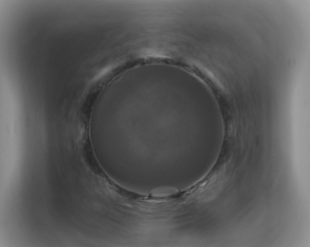 X0000113881303200909241344