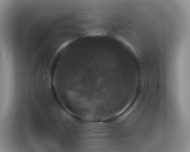 X0000113881306200909241344