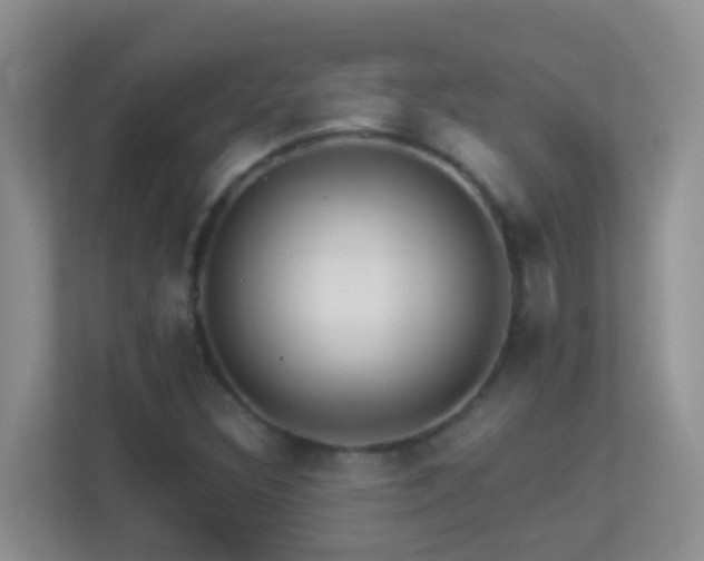 X0000113881308200909241344