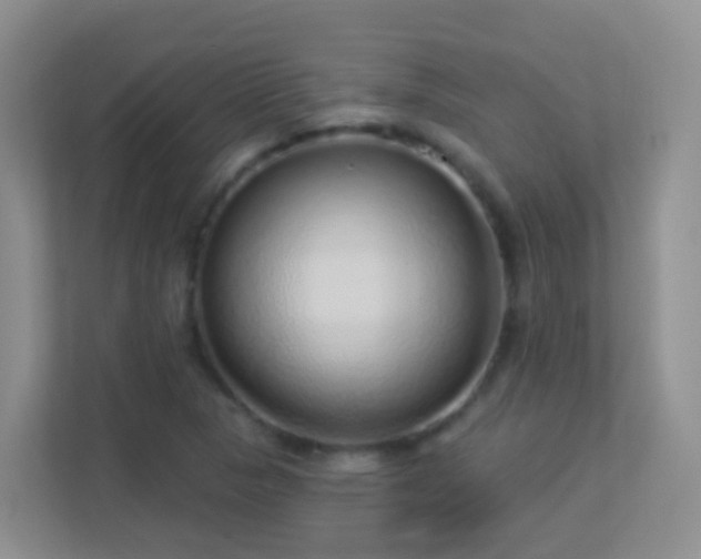 X0000113881313200909241344
