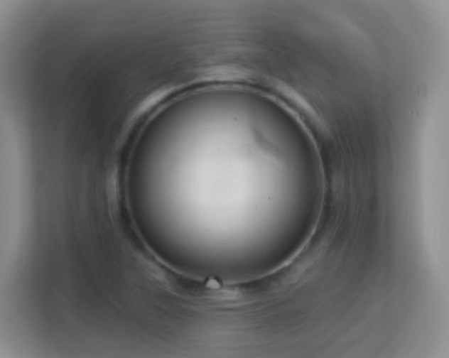 X0000113881315200909241344