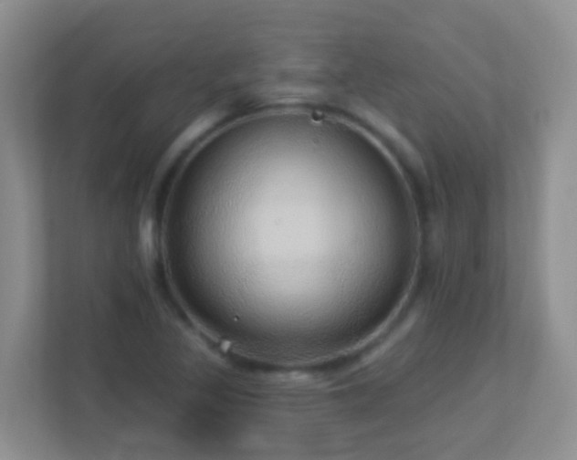 X0000113881317200909241344