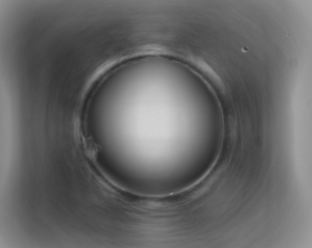 X0000113881318200909241344