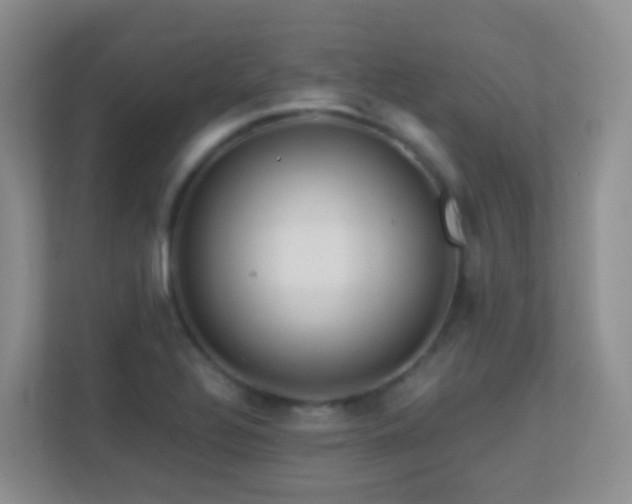 X0000113881320200909241344