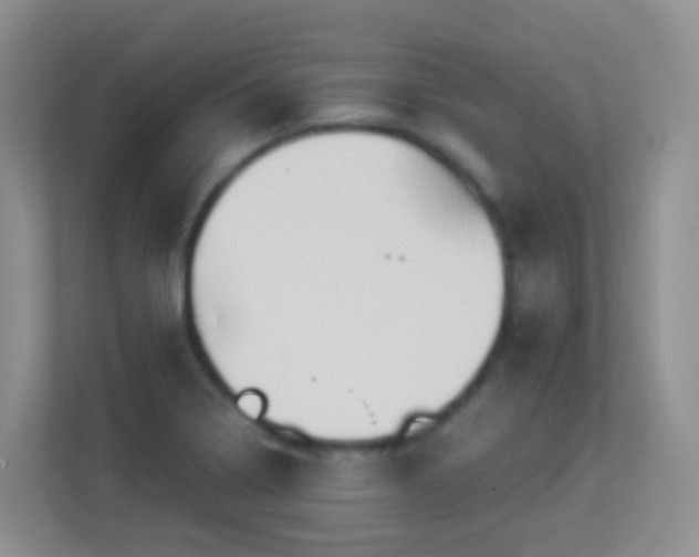 X0000113881322200909241344