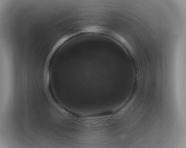 X0000113881323200909241344