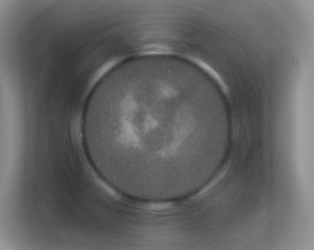 X0000113881325200909241344