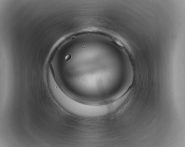 X0000113881326200909241344