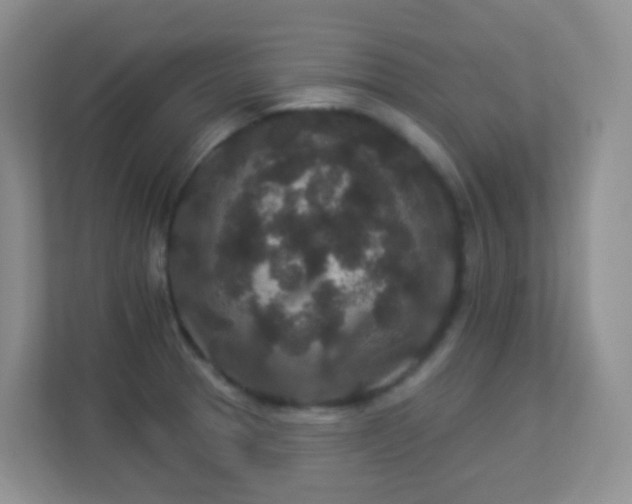 X0000113881329200909241344