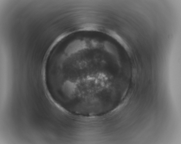 X0000113881331200909241344