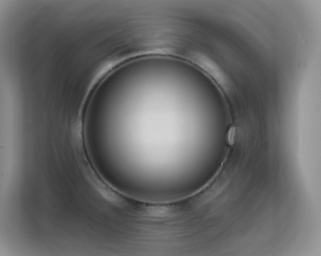 X0000113881332200909241344