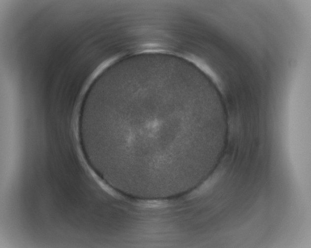 X0000113881333200909241344