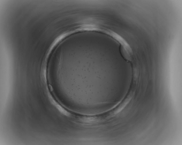 X0000113881334200909241344