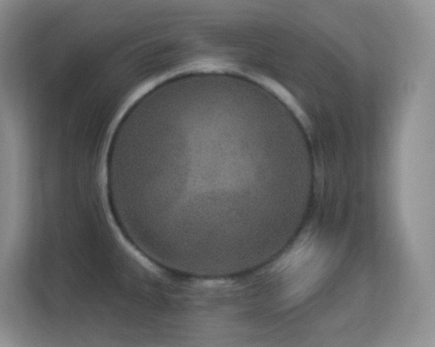 X0000113881335200909241344