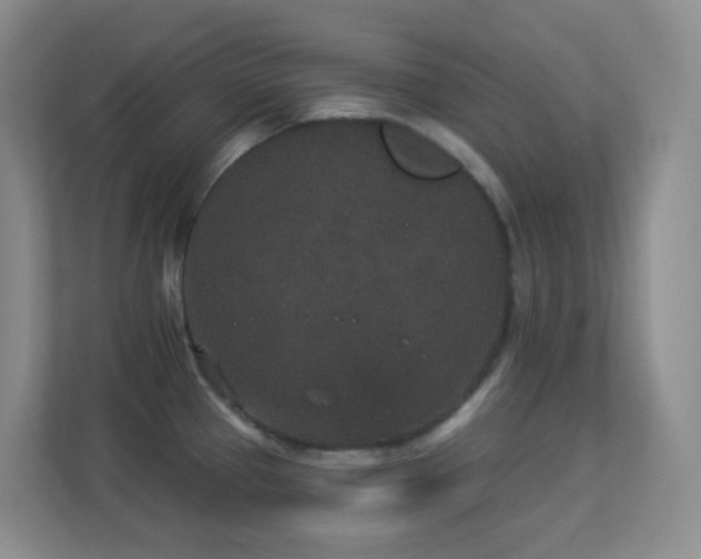 X0000113881337200909241344