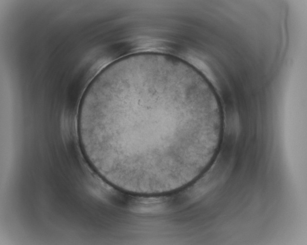 X0000113881338200909241344