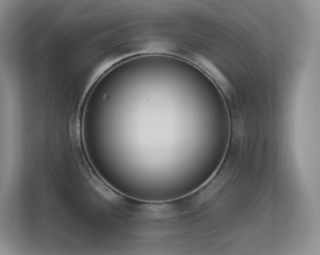 X0000113881340200909241344