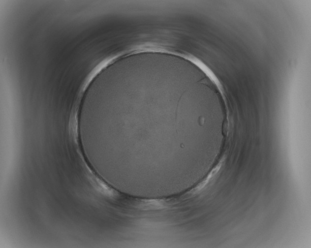 X0000113881341200909241344