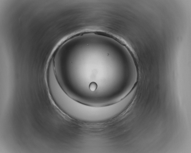 X0000113881342200909241344
