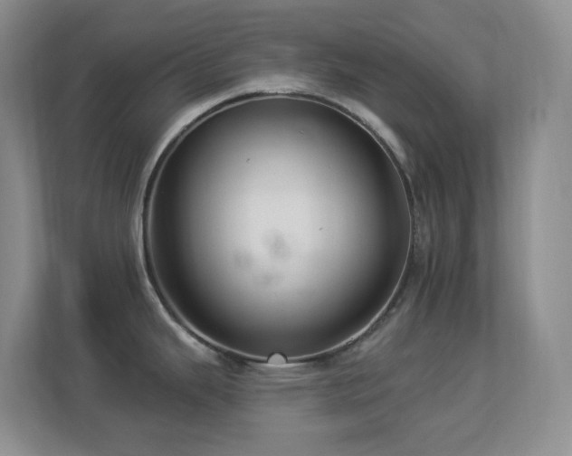 X0000113881343200909241344