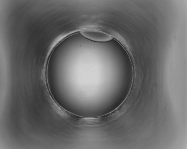 X0000113881344200909241344