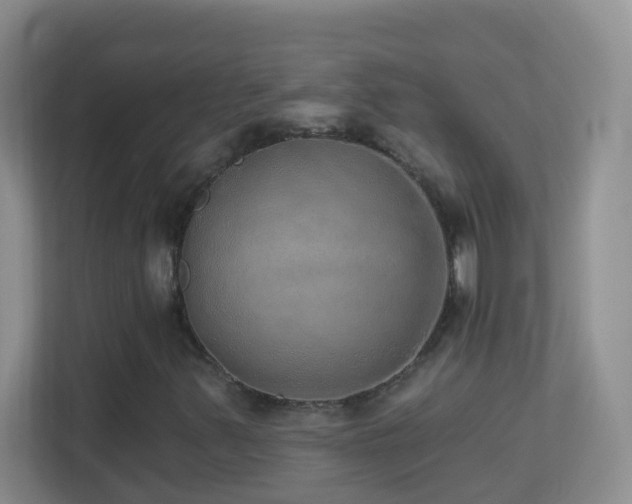 X0000113881347200909241344