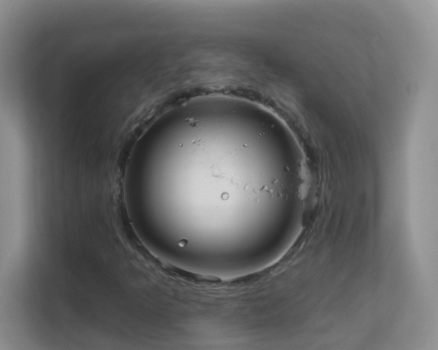 X0000113881349200909241344