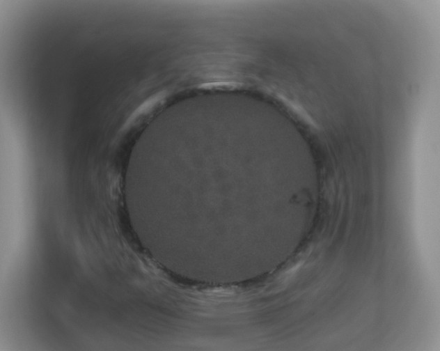 X0000113881351200909241344