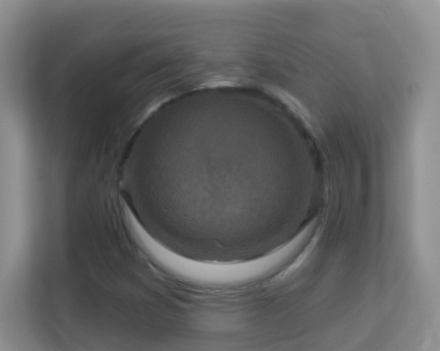 X0000113881353200909241344