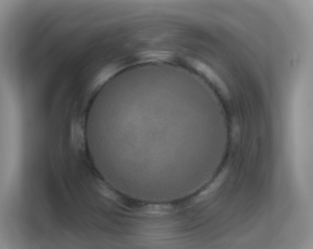 X0000113881354200909241344